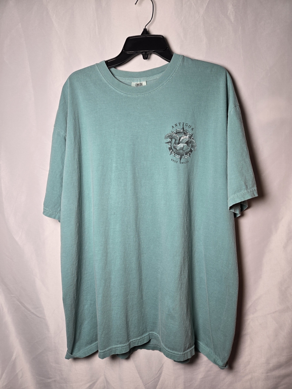 Comfort Colors Seafoam Short Sleeve Tee with Chest Graphic